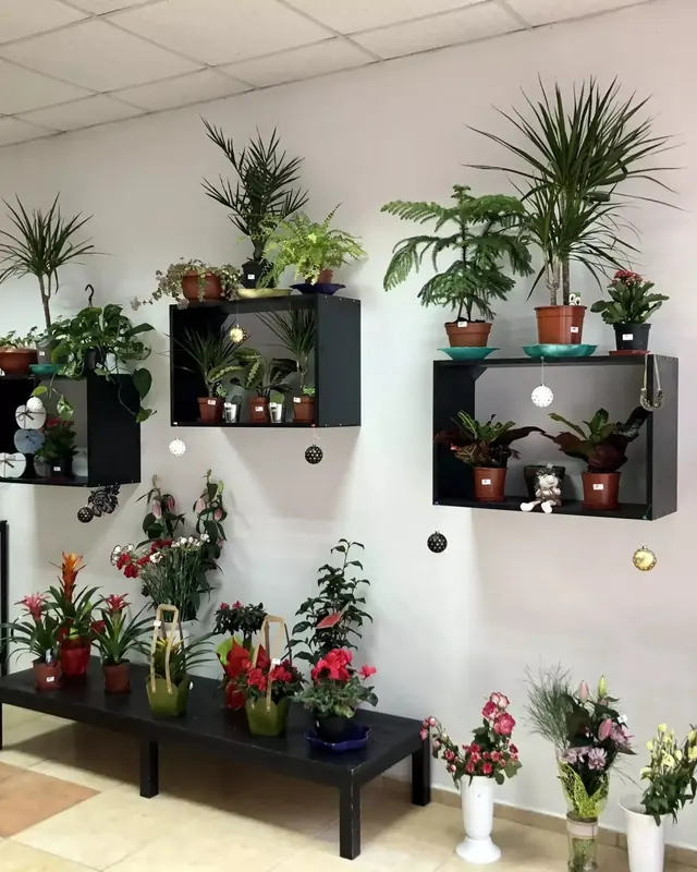 Стена със саксийни цветя