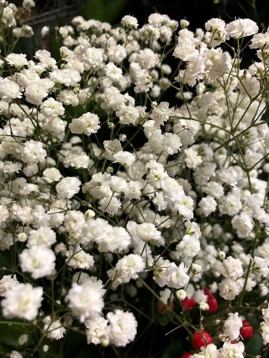 Цветя от City Flowers