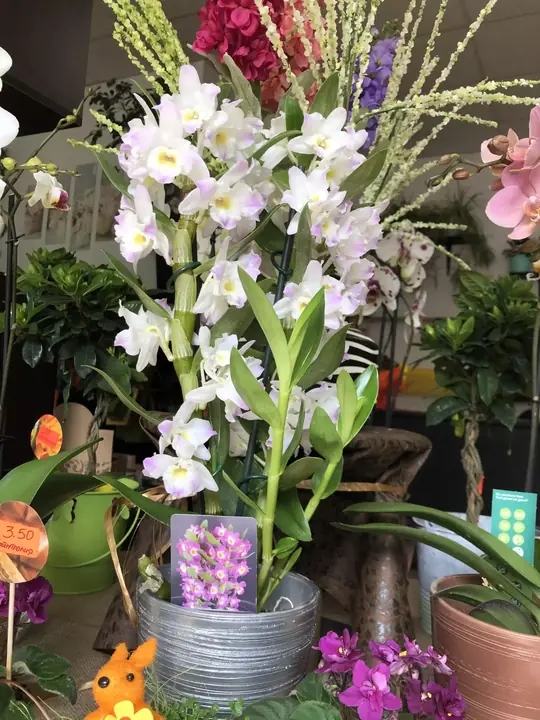 Цветя от City Flowers