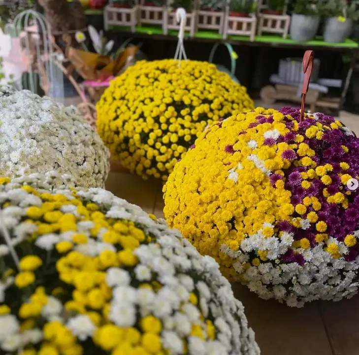 Цветя от City Flowers