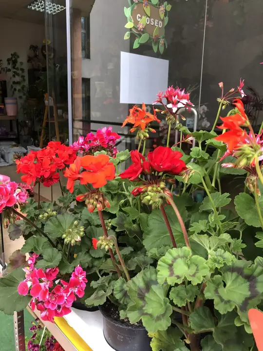 Цветя от City Flowers