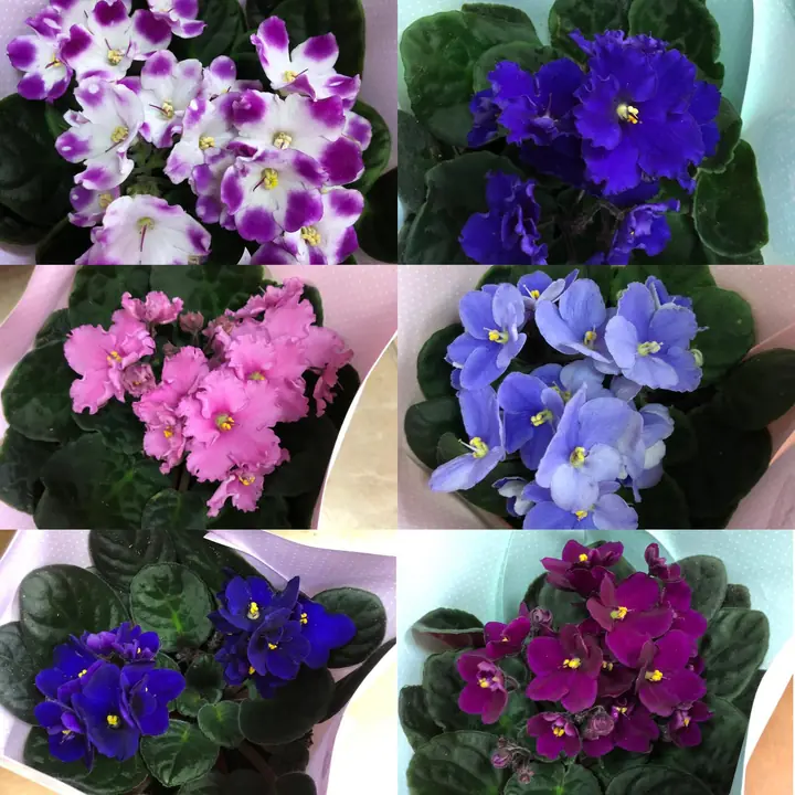 Цветя от City Flowers