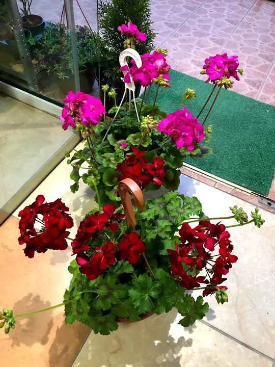 Цветя от City Flowers
